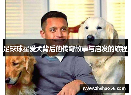 足球球星爱犬背后的传奇故事与启发的旅程